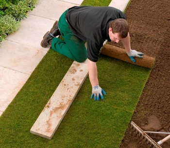 Man laying  Rolawn turf