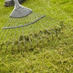 Scarifying