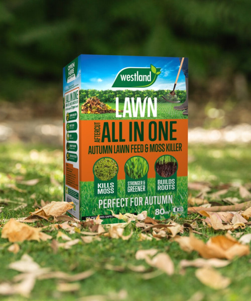 aftercutallinoneautumn80sqm_westland_20400600_0020_a_lifestyle2048-1024x1024