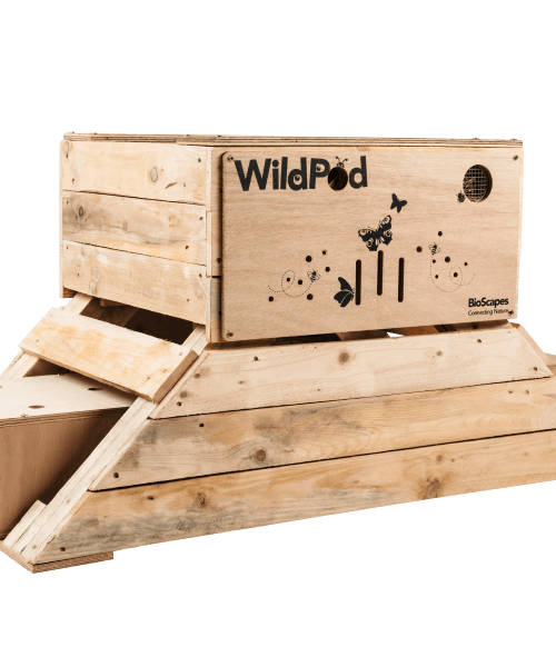 WildPod-empty-with-amphibian-habitat