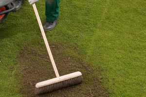 Lawn top dressing image
