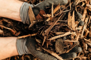 Landscaping-Bark-1