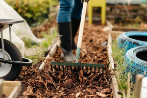 Rolawn-Landscaping-Bark-rakedon-allotment-path-2-web