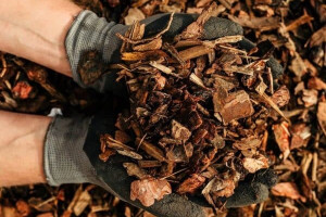 Play-Grade-Bark-Chippings-2-600x600