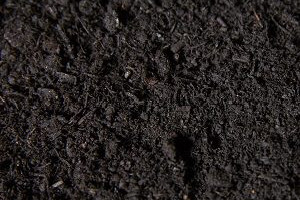 Hallstone-Compost-300x300-1