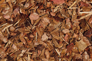 product-Playbark-96