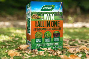 aftercutallinoneautumn80sqm_westland_20400600_0020_a_lifestyle2048-1024x1024