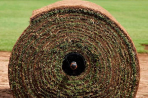 Rolawn-Medallion-Turfmaster-Roll-13-square-metres