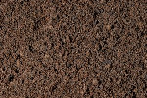 Hallstone-Blended-Loam-Topsoil-Close-up-of-Product-Square