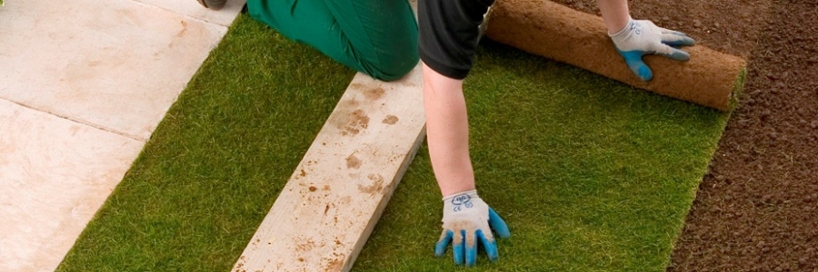 Man laying  Rolawn turf