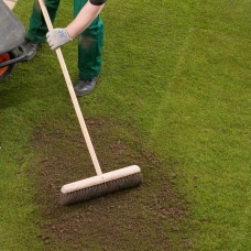 Lawn top dressing image