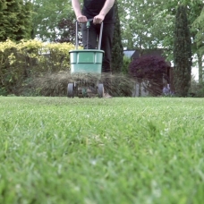 overseeding