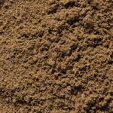 holm_sand