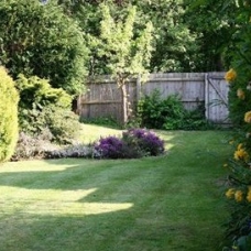 shaded-lawn