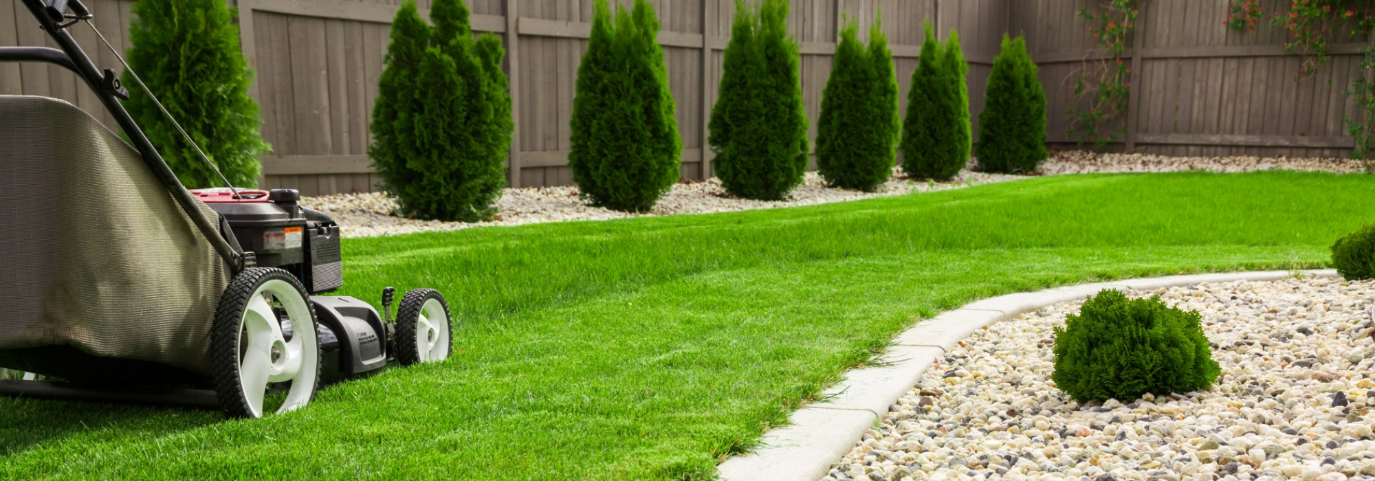 Picture of lawn