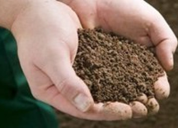 Blended-Loam-in-Hands