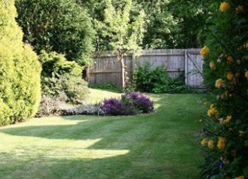 shaded-lawn