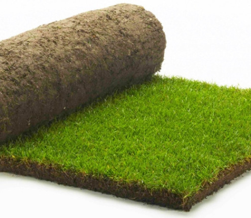 RolawnMedallionTurf