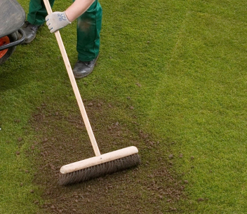 Lawn top dressing image
