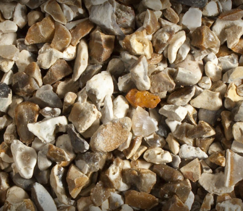 chard flint