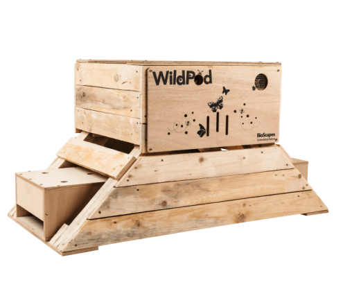 WildPod-empty-with-amphibian-habitat